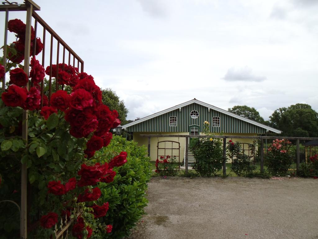 Ferienwohnung Hof Brooks Bosau Exterior foto